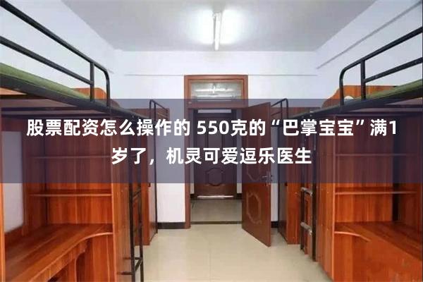 股票配资怎么操作的 550克的“巴掌宝宝”满1岁了，机灵可爱逗乐医生