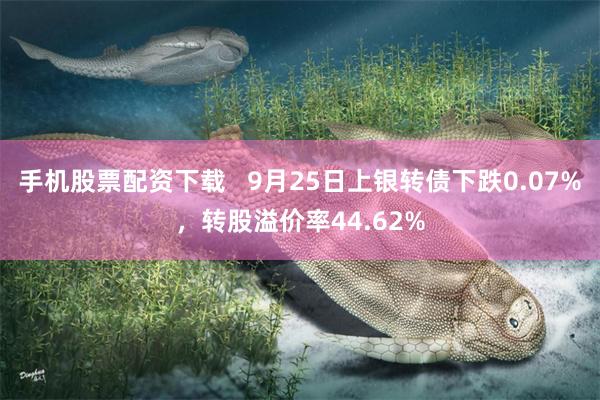 手机股票配资下载   9月25日上银转债下跌0.07%，转股溢价率44.62%