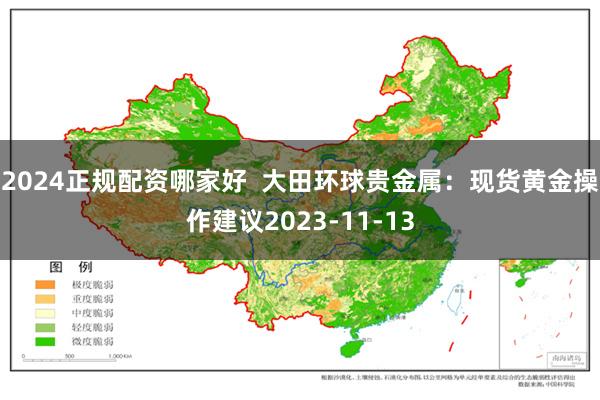 2024正规配资哪家好  大田环球贵金属：现货黄金操作建议2023-11-13