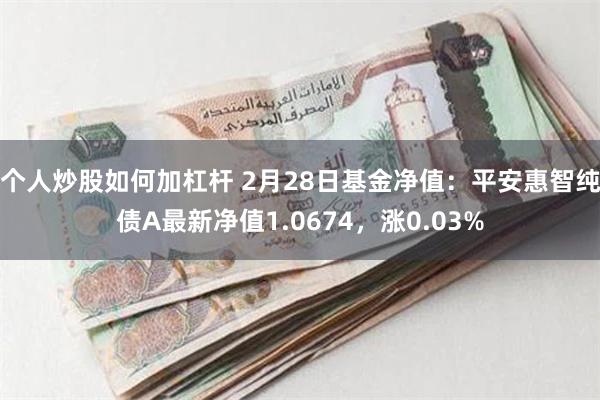 个人炒股如何加杠杆 2月28日基金净值：平安惠智纯债A最新净值1.0674，涨0.03%